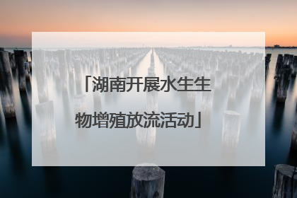 湖南开展水生生物增殖放流活动