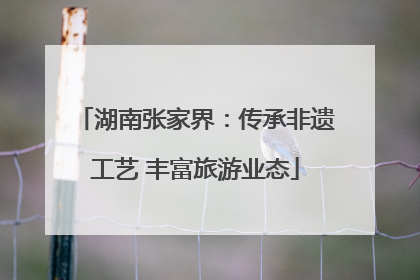 湖南张家界：传承非遗工艺 丰富旅游业态