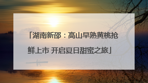 湖南新邵：高山早熟黄桃抢鲜上市 开启夏日甜蜜之旅