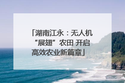 湖南江永：无人机“展翅”农田 开启高效农业新篇章