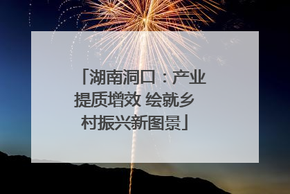 湖南洞口：产业提质增效 绘就乡村振兴新图景