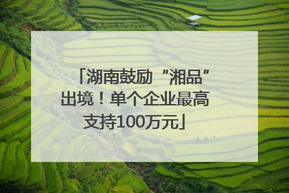 湖南鼓励“湘品”出境！单个企业最高支持100万元