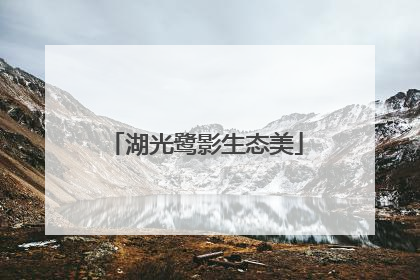 湖光鹭影生态美