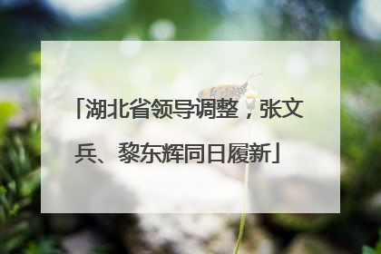 湖北省领导调整，张文兵、黎东辉同日履新