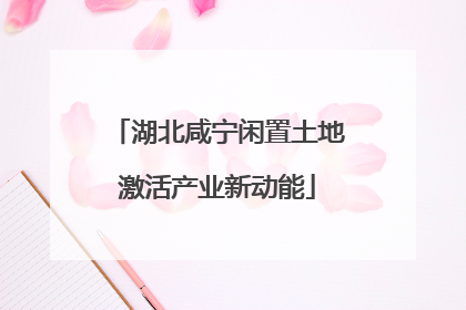 湖北咸宁闲置土地激活产业新动能