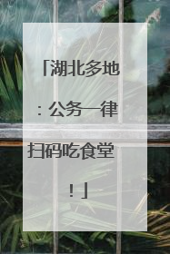 湖北多地：公务一律扫码吃食堂！