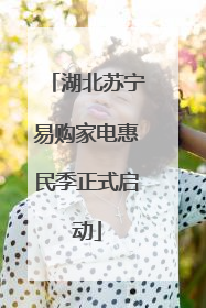 湖北苏宁易购家电惠民季正式启动