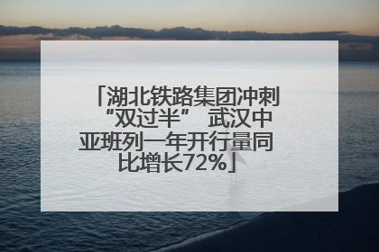 湖北铁路集团冲刺“双过半” 武汉中亚班列一年开行量同比增长72%