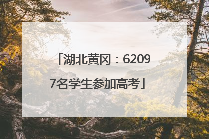 湖北黄冈：62097名学生参加高考