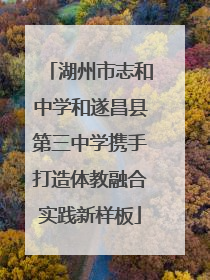 湖州市志和中学和遂昌县第三中学携手打造体教融合实践新样板