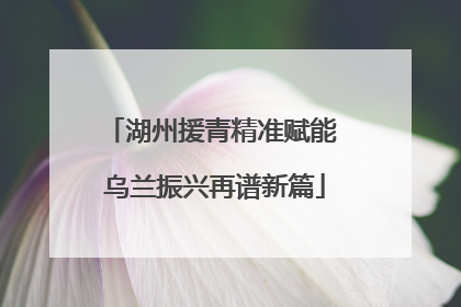 湖州援青精准赋能 乌兰振兴再谱新篇