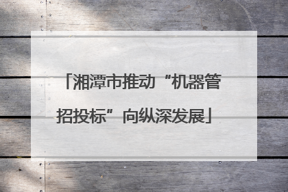 湘潭市推动“机器管招投标”向纵深发展