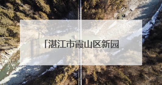 湛江市霞山区新园街道创新推出“出摊办公”移动服务台