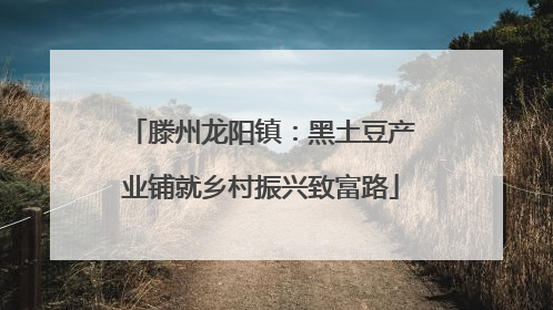 滕州龙阳镇：黑土豆产业铺就乡村振兴致富路
