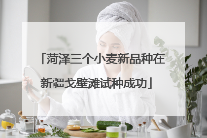 菏泽三个小麦新品种在新疆戈壁滩试种成功