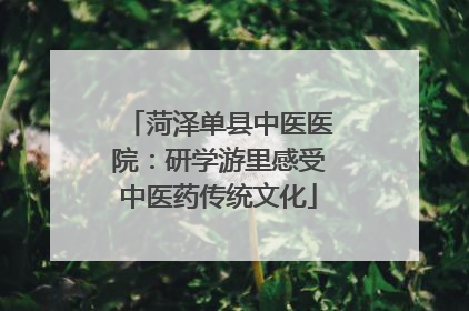菏泽单县中医医院：研学游里感受中医药传统文化