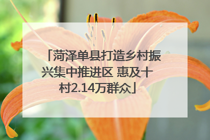 菏泽单县打造乡村振兴集中推进区 惠及十村2.14万群众