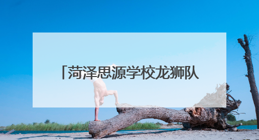 菏泽思源学校龙狮队闪耀“狮舞齐鲁”赛场 勇夺四项桂冠