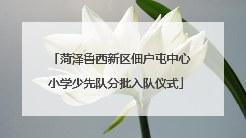 菏泽鲁西新区佃户屯中心小学少先队分批入队仪式