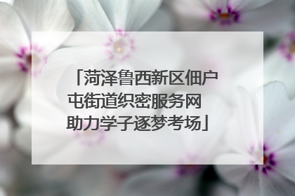 菏泽鲁西新区佃户屯街道织密服务网 助力学子逐梦考场