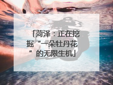 菏泽：正在挖掘“一朵牡丹花”的无限生机