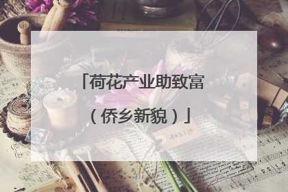 荷花产业助致富（侨乡新貌）
