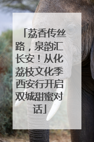 荔香传丝路，泉韵汇长安！从化荔枝文化季西安行开启双城甜蜜对话
