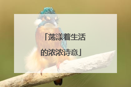 荡漾着生活的浓浓诗意