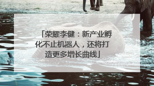 荣耀李健：新产业孵化不止机器人，还将打造更多增长曲线