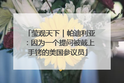 莹观天下｜帕迪利亚：因为一个提问被戴上手铐的美国参议员