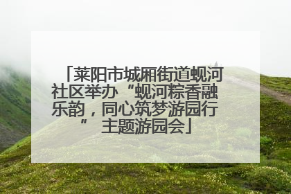 莱阳市城厢街道蚬河社区举办“蚬河粽香融乐韵，同心筑梦游园行” 主题游园会