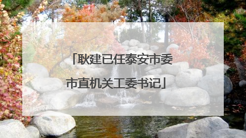 耿建已任泰安市委市直机关工委书记