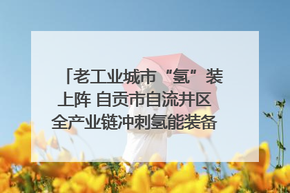 老工业城市“氢”装上阵 自贡市自流井区全产业链冲刺氢能装备制造新高地｜美好生活有“盐”味