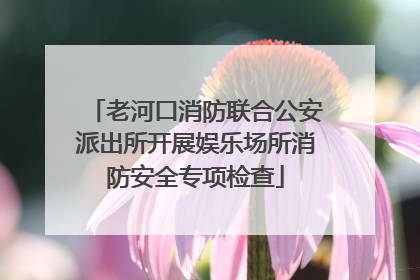 老河口消防联合公安派出所开展娱乐场所消防安全专项检查