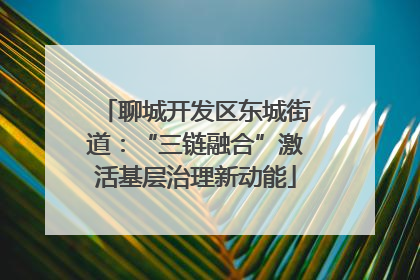 聊城开发区东城街道：“三链融合”激活基层治理新动能