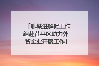 聊城进解促工作组赴茌平区助力外贸企业开展工作