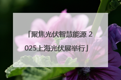 聚焦光伏智慧能源 2025上海光伏展举行