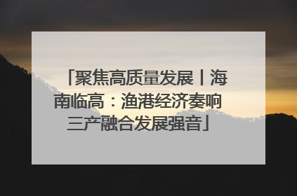 聚焦高质量发展丨海南临高：渔港经济奏响三产融合发展强音
