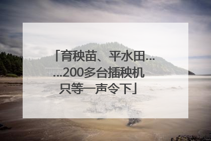 育秧苗、平水田……200多台插秧机只等一声令下