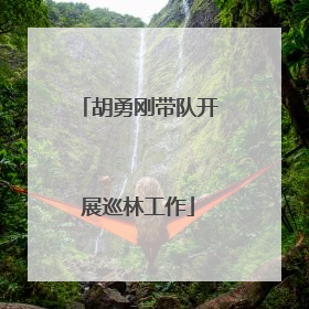 胡勇刚带队开展巡林工作