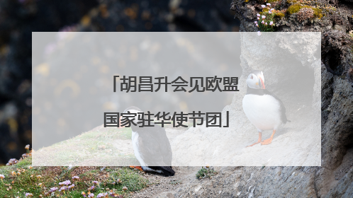 胡昌升会见欧盟国家驻华使节团