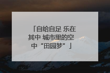 自给自足 乐在其中 城市里的空中“田园梦”