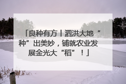 良种有方丨泗洪大地“种”出美妙，铺就农业发展金光大“稻”！