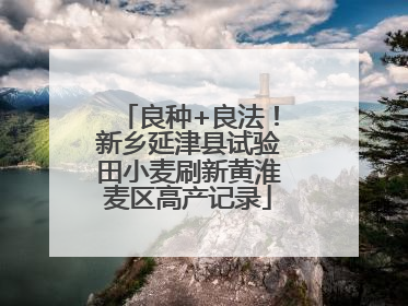 良种+良法！新乡延津县试验田小麦刷新黄淮麦区高产记录