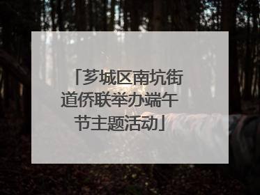 芗城区南坑街道侨联举办端午节主题活动