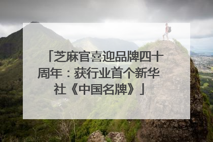 芝麻官喜迎品牌四十周年：获行业首个新华社《中国名牌》