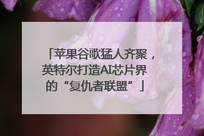 苹果谷歌猛人齐聚，英特尔打造AI芯片界的“复仇者联盟”