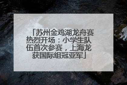 苏州金鸡湖龙舟赛热烈开场：小学生队伍首次参赛，上海龙获国际组冠亚军