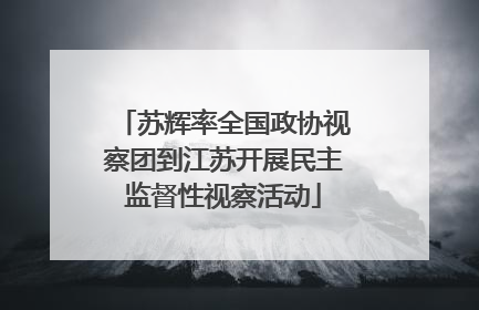 苏辉率全国政协视察团到江苏开展民主监督性视察活动