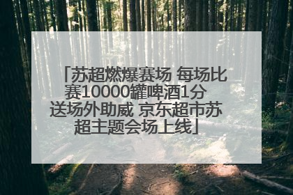 苏超燃爆赛场 每场比赛10000罐啤酒1分送场外助威 京东超市苏超主题会场上线